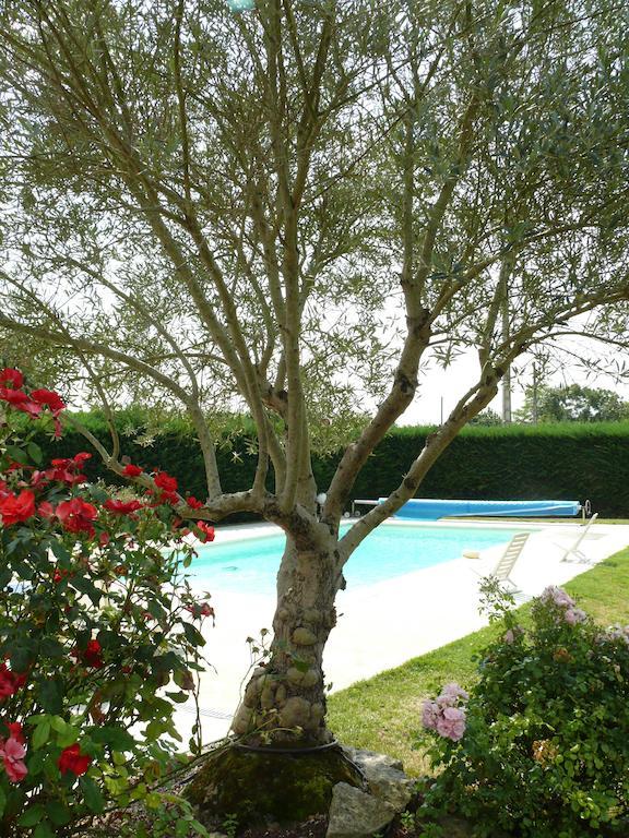Le Clos De La Vigne Montreuil  Esterno foto